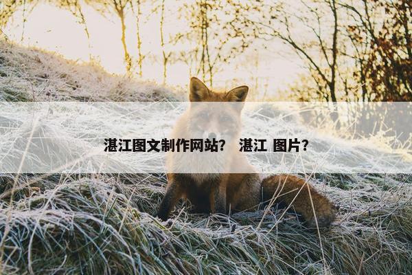 湛江图文制作网站？ 湛江 图片？