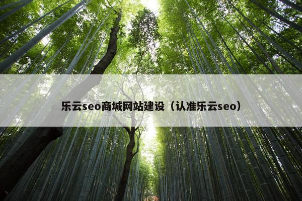 乐云seo商城网站建设（认准乐云seo）