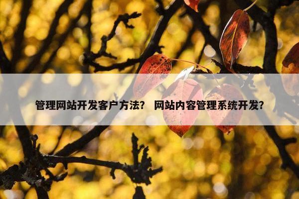 管理网站开发客户方法？ 网站内容管理系统开发？
