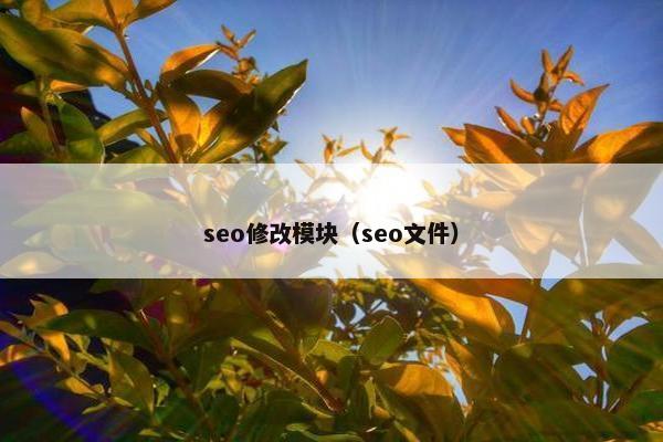 seo修改模块（seo文件）