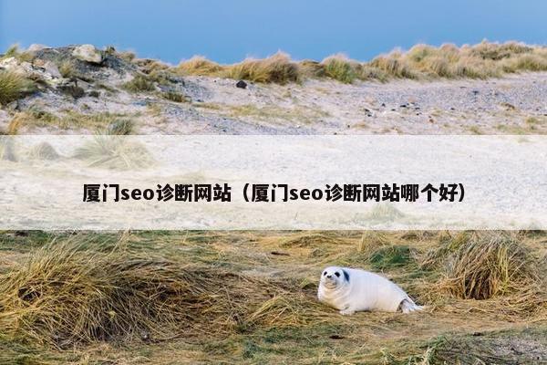 厦门seo诊断网站（厦门seo诊断网站哪个好）