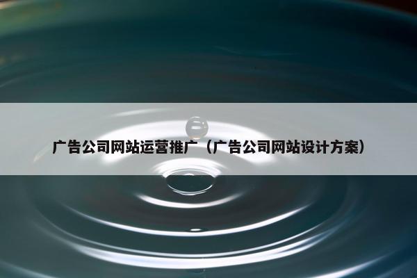 广告公司网站运营推广（广告公司网站设计方案）