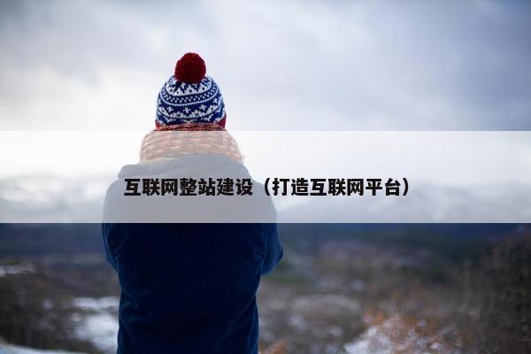互联网整站建设（打造互联网平台）