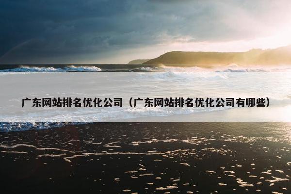 广东网站排名优化公司（广东网站排名优化公司有哪些）