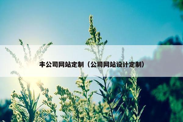 丰公司网站定制（公司网站设计定制）