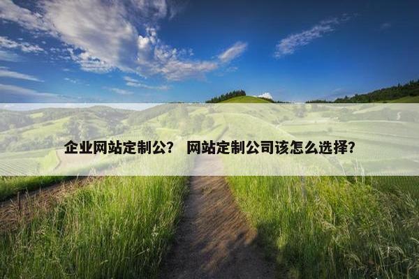 企业网站定制公？ 网站定制公司该怎么选择？