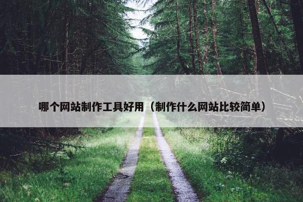 哪个网站制作工具好用（制作什么网站比较简单）