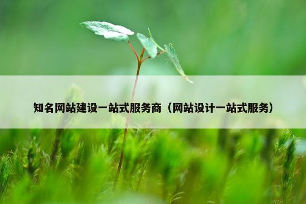 知名网站建设一站式服务商（网站设计一站式服务）