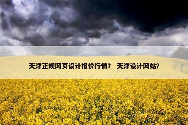 天津正规网页设计报价行情？ 天津设计网站？