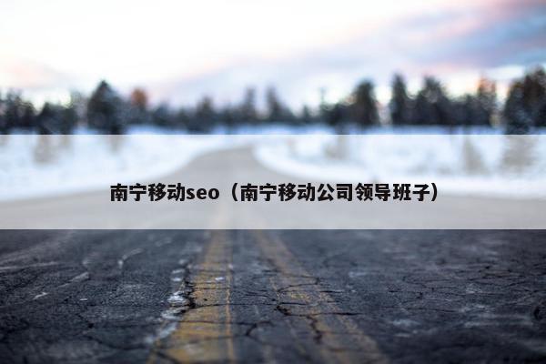 南宁移动seo（南宁移动公司领导班子）