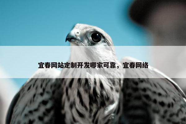 宜春网站定制开发哪家可靠，宜春网络
