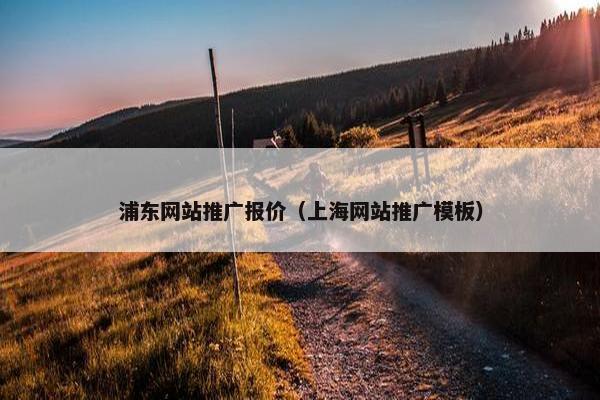 浦东网站推广报价（上海网站推广模板）
