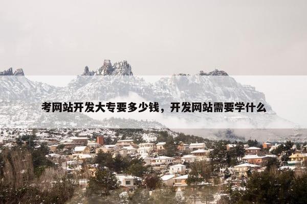 考网站开发大专要多少钱，开发网站需要学什么