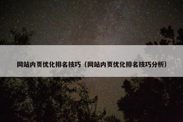 网站内页优化排名技巧（网站内页优化排名技巧分析）