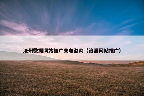 沧州数据网站推广来电咨询（沧县网站推广）