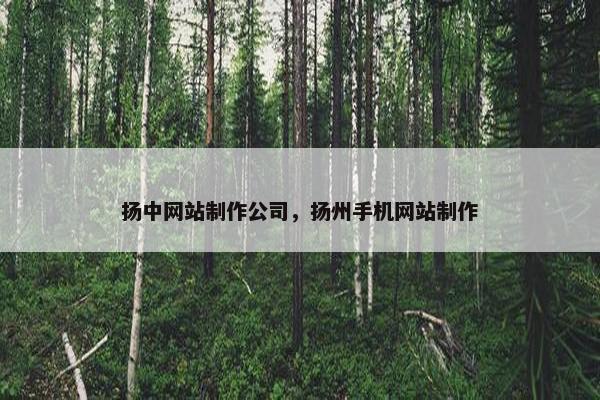 扬中网站制作公司，扬州手机网站制作