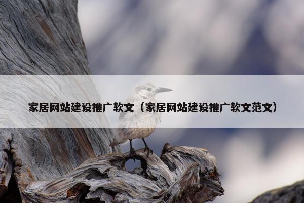 家居网站建设推广软文（家居网站建设推广软文范文）