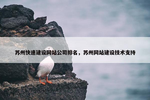 苏州快速建设网站公司排名，苏州网站建设技术支持