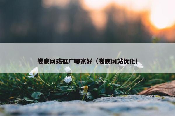 娄底网站推广哪家好（娄底网站优化）