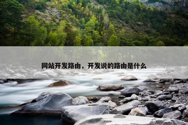 网站开发路由，开发说的路由是什么