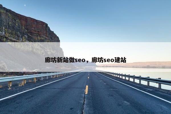 廊坊新站做seo，廊坊seo建站