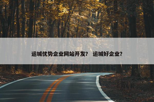 运城优势企业网站开发？ 运城好企业？