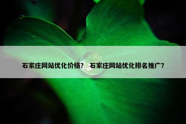 石家庄网站优化价格？ 石家庄网站优化排名推广？
