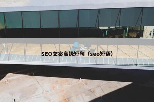 SEO文案高级短句（seo短语）