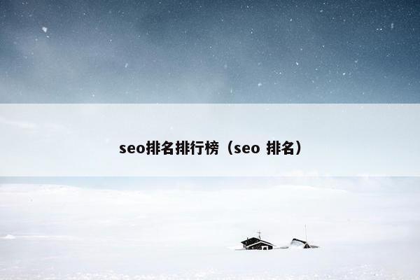seo排名排行榜（seo 排名）