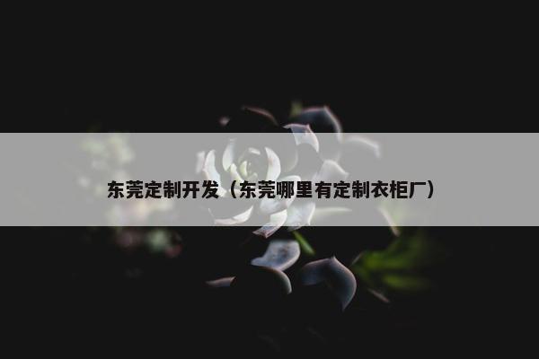 东莞定制开发（东莞哪里有定制衣柜厂）