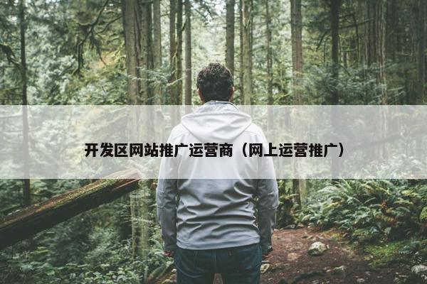开发区网站推广运营商（网上运营推广）