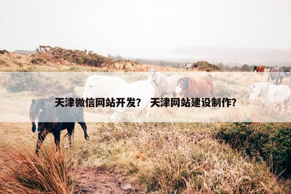 天津微信网站开发？ 天津网站建设制作？
