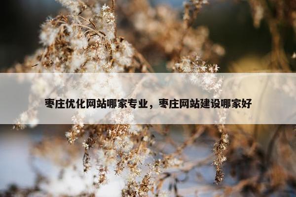 枣庄优化网站哪家专业，枣庄网站建设哪家好