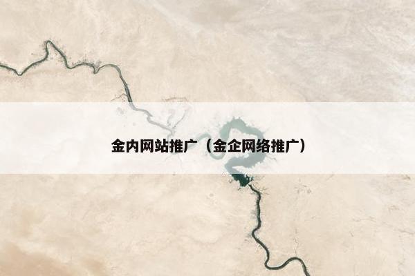 金内网站推广（金企网络推广）
