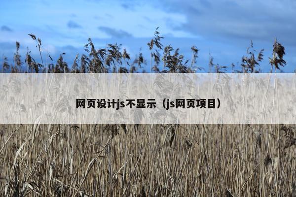 网页设计js不显示（js网页项目）