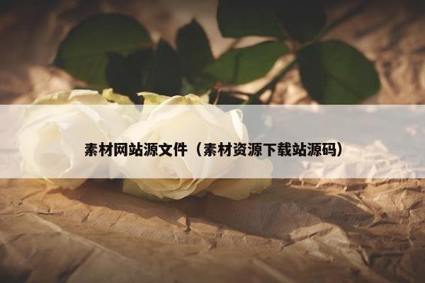 素材网站源文件（素材资源下载站源码）