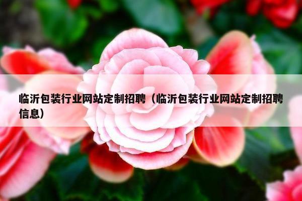 临沂包装行业网站定制招聘（临沂包装行业网站定制招聘信息）