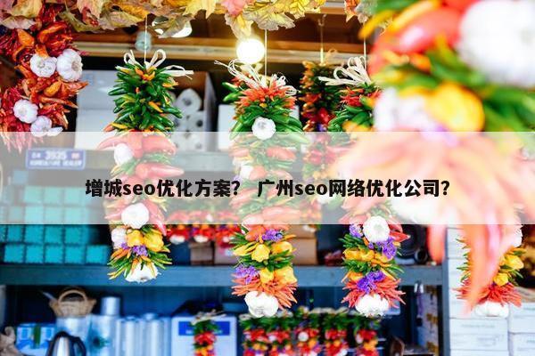 增城seo优化方案？ 广州seo网络优化公司？