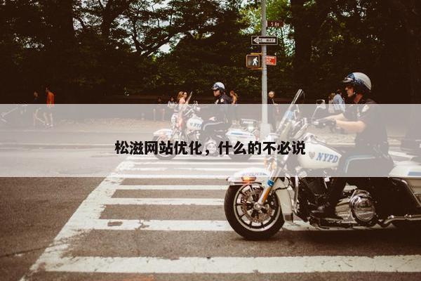 松滋网站优化，什么的不必说