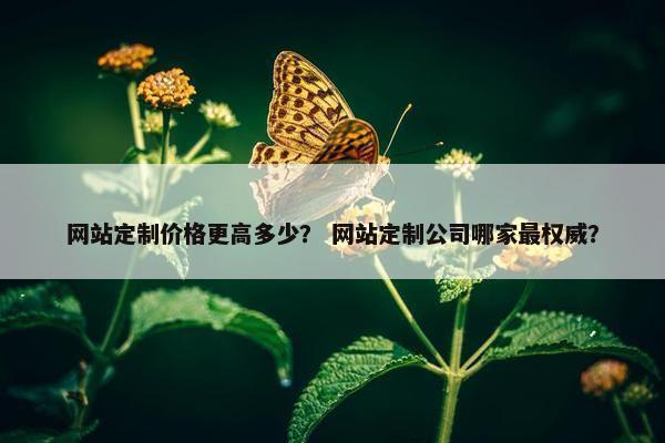 网站定制价格更高多少？ 网站定制公司哪家最权威？
