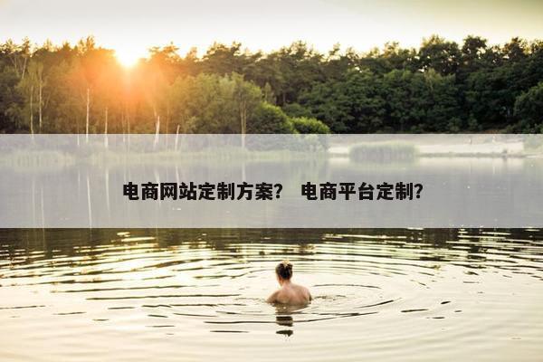 电商网站定制方案？ 电商平台定制？