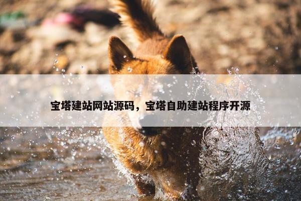 宝塔建站网站源码，宝塔自助建站程序开源
