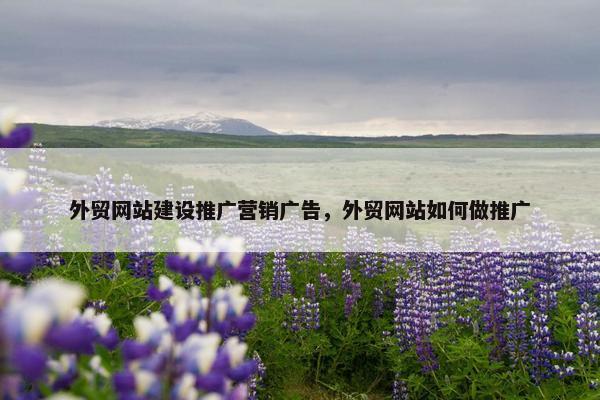 外贸网站建设推广营销广告，外贸网站如何做推广
