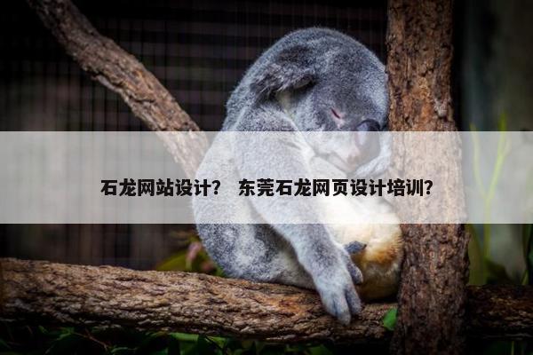 石龙网站设计？ 东莞石龙网页设计培训？