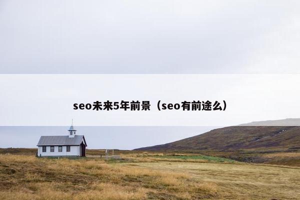 seo未来5年前景（seo有前途么）