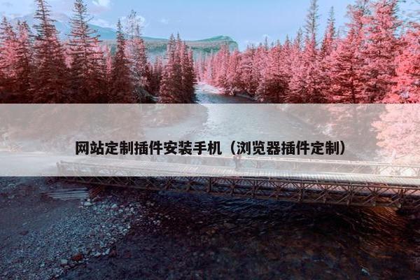 网站定制插件安装手机（浏览器插件定制）