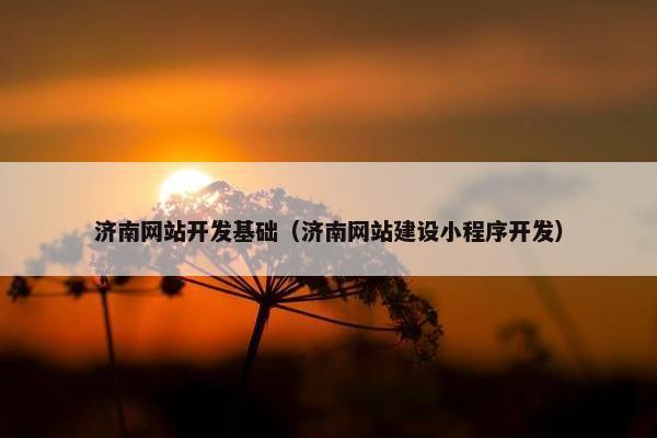济南网站开发基础（济南网站建设小程序开发）