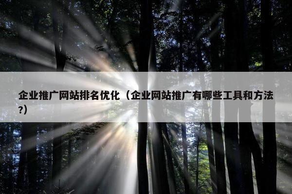 企业推广网站排名优化（企业网站推广有哪些工具和方法?）