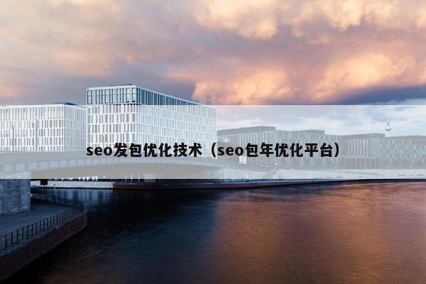 seo发包优化技术（seo包年优化平台）