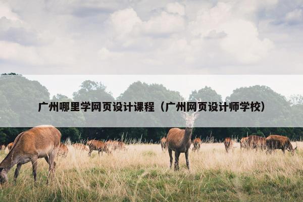 广州哪里学网页设计课程（广州网页设计师学校）